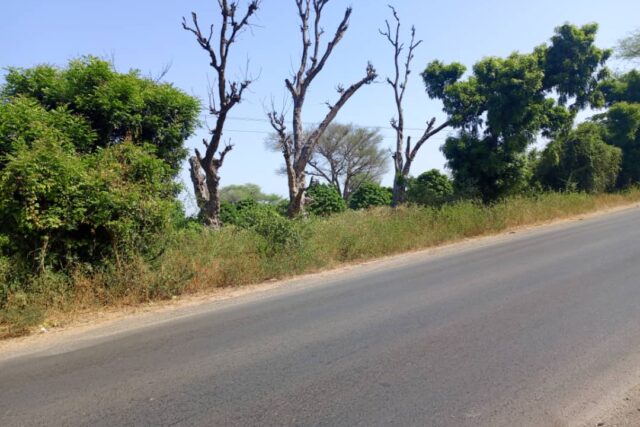 Terrain agricole 10.000 m² à vendre – Notto Diobass