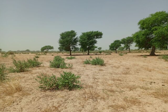 Terrain agricole 10.657 m² à vendre – Tassette