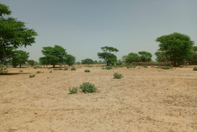 Terrain agricole 10.657 m² à vendre – Tassette