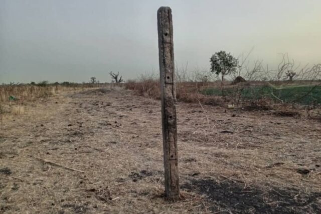 Terrain agricole 11.000 m² à vendre – Nguéniène