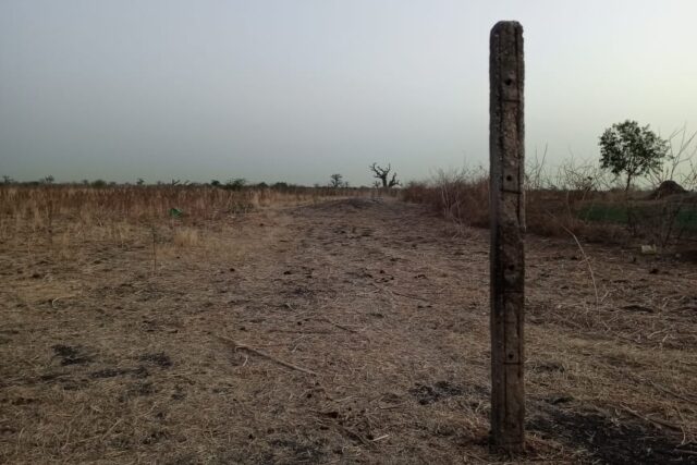 Terrain agricole 11.000 m² à vendre – Nguéniène