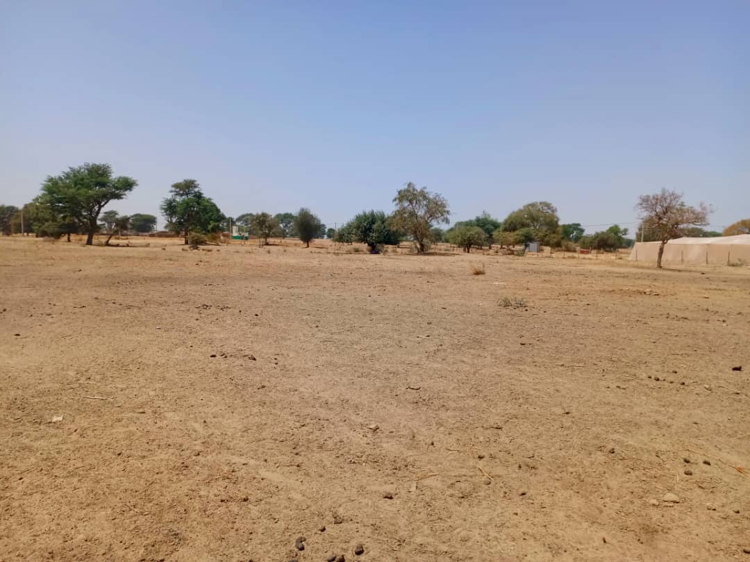 Terrain agricole 10.890 m² à vendre – Tassette