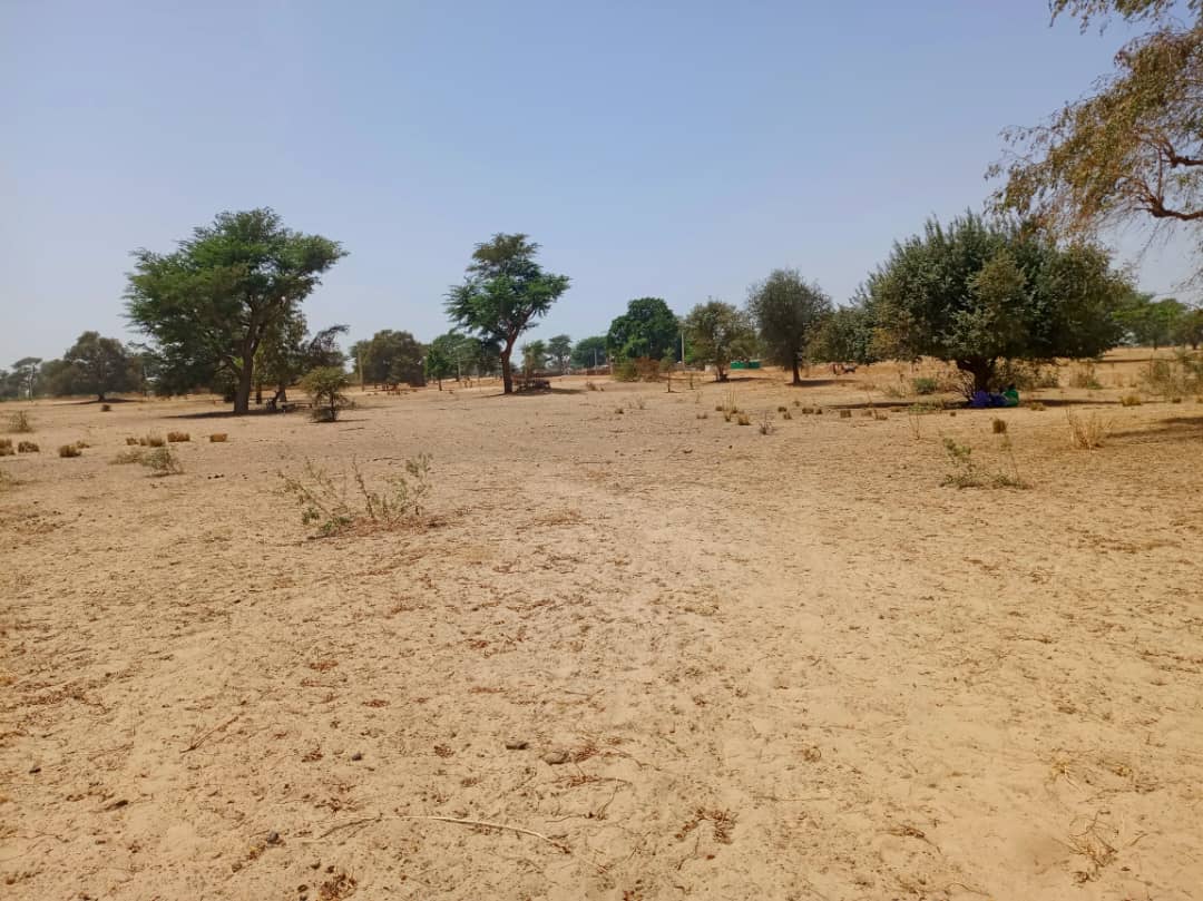 Terrain agricole 10.890 m² à vendre – Tassette