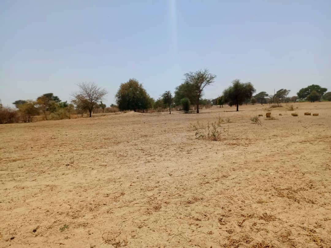 Terrain agricole 10.890 m² à vendre – Tassette