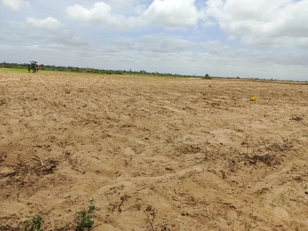 Terrain agricole 10.000 m² à vendre – Tassette