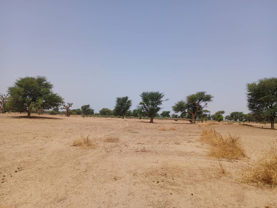 Terrain agricole 10.557 m² à vendre – Tassette