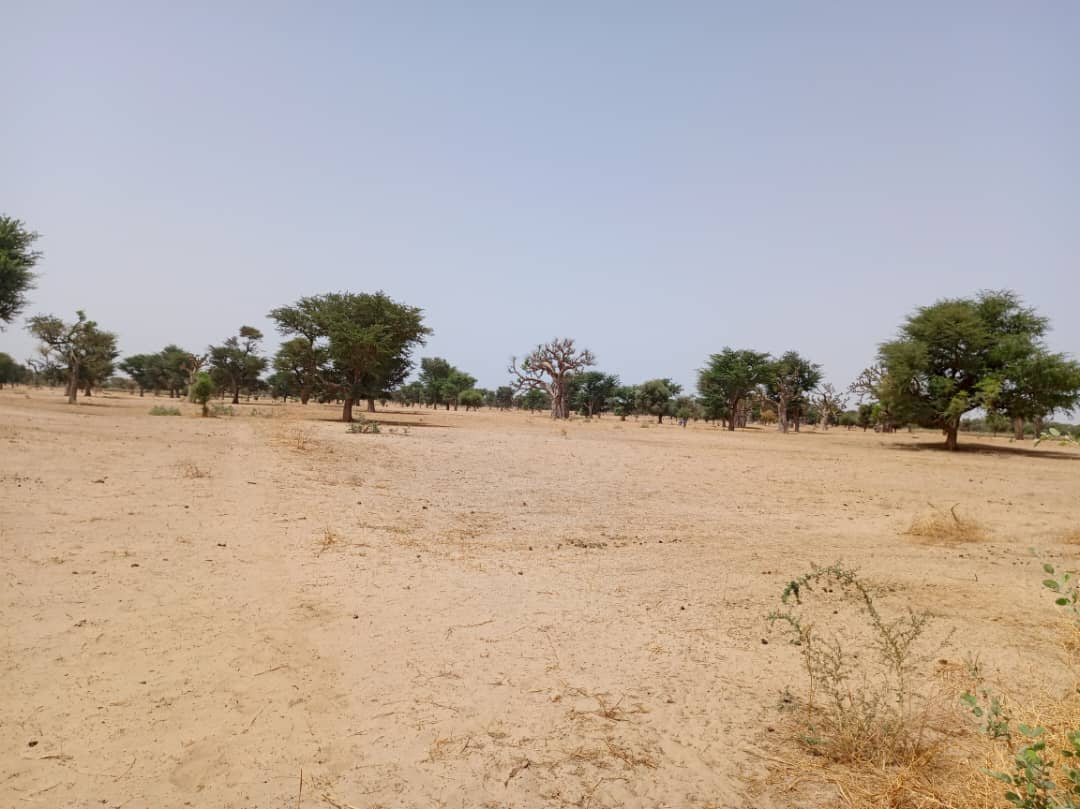 Terrain agricole 10.557 m² à vendre – Tassette