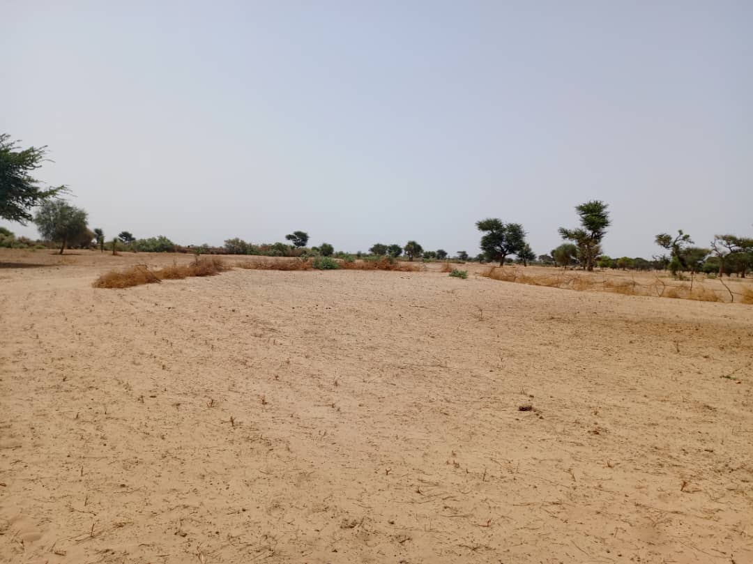 Terrain agricole 10.557 m² à vendre – Tassette