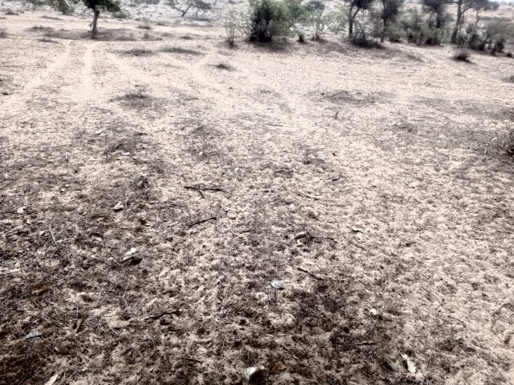 Terrain agricole 80.000 m² à vendre – Diokoul Diawrigne