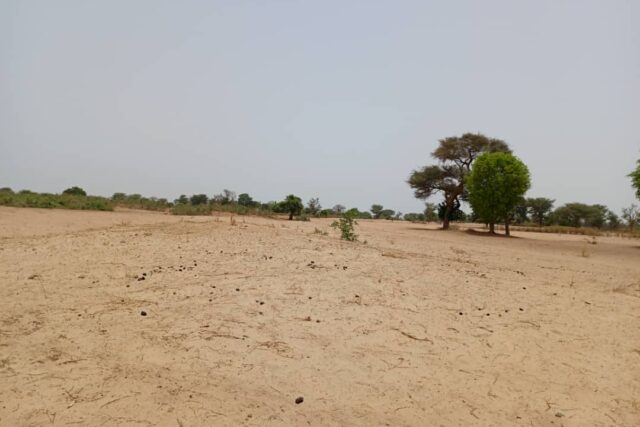 Terrain agricole de 1,58 ha à vendre à Tassette – Sénégal