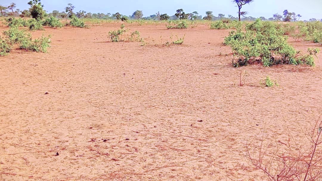 Terrain agricole 13.468 m² à vendre – Ndiéyene Sirakh