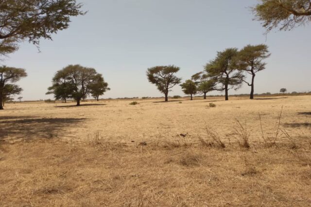 Terrain agricole de 1,44 ha à vendre à Tassette – Sénégal