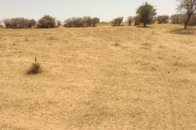 Terrain de 1,43 hectare à vendre – Sagata
