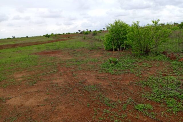 Terrain agricole 11.632 m² à vendre – Notto Diobass