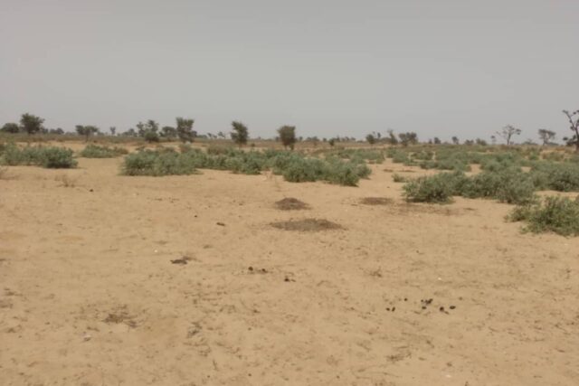 Terrain agricole 10.996 m² à vendre – Sindia