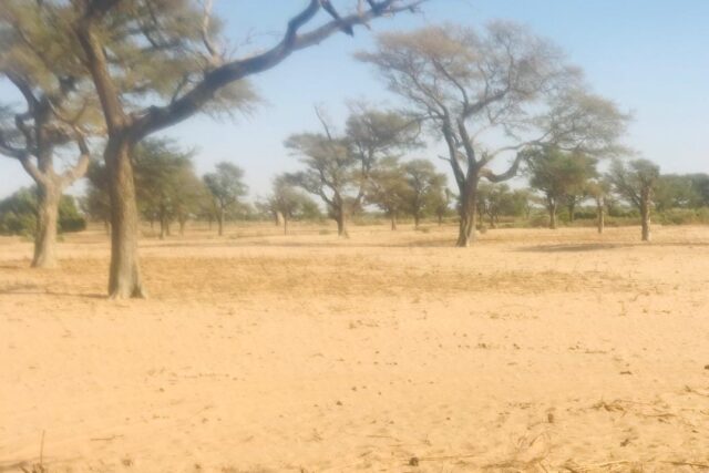 Terrain de 1,4 hectare à vendre – Notto Diobass, Thiès