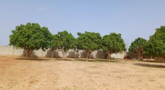 Exploitation agricole 5.000 m² à louer – Keur Madaro
