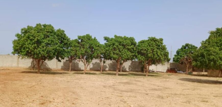 Exploitation agricole 5.000 m² à louer – Keur Madaro