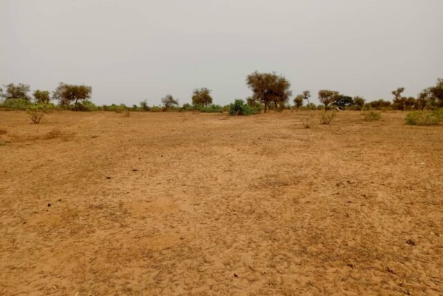 Terrain agricole 11.000 m² à vendre – Khombole