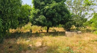 Ferme avicole 5.260 m² à vendre – Fandene