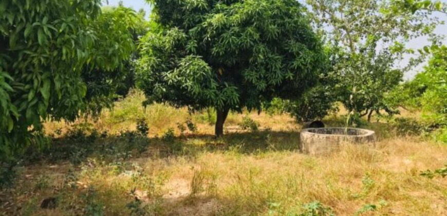 Ferme avicole 5.260 m² à vendre – Fandene