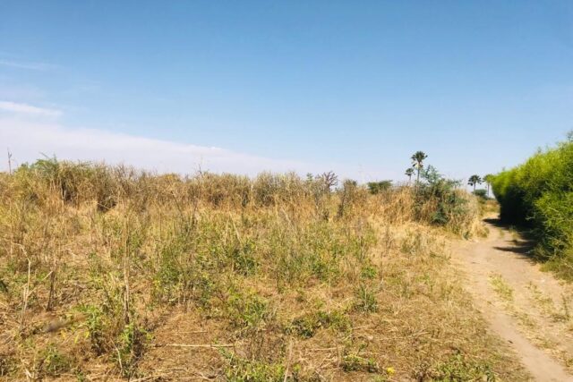 Terrain agricole 10.678 m² à vendre – Nguéniène