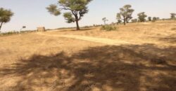 Terrain agricole de 1,44 ha à vendre à Tassette – Sénégal