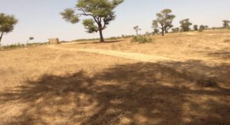 Terrain agricole de 1,44 ha à vendre à Tassette – Sénégal