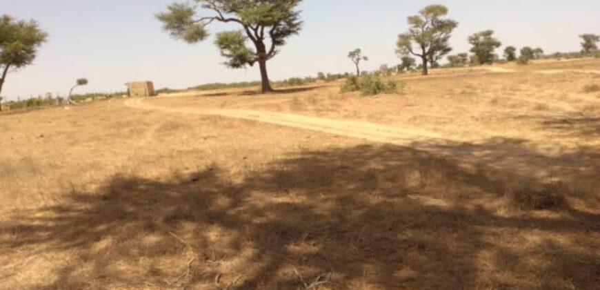 Terrain agricole de 1,44 ha à vendre à Tassette – Sénégal