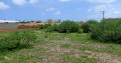 Terrain agricole de 1,57 ha à vendre à Keur Moussa – Sénégal