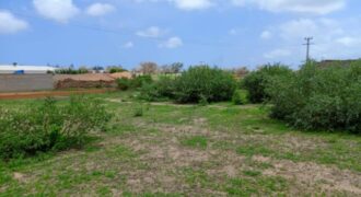 Terrain agricole de 1,57 ha à vendre à Keur Moussa – Sénégal