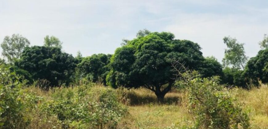 Terrain agricole de 1,58 ha à vendre à Bambilor – Sénégal