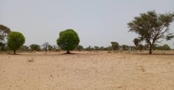 Terrain agricole de 1,58 ha à vendre à Tassette – Sénégal