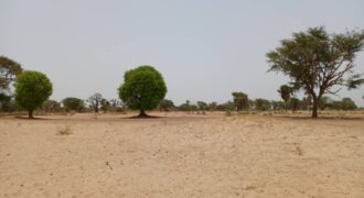 Terrain agricole de 1,58 ha à vendre à Tassette – Sénégal