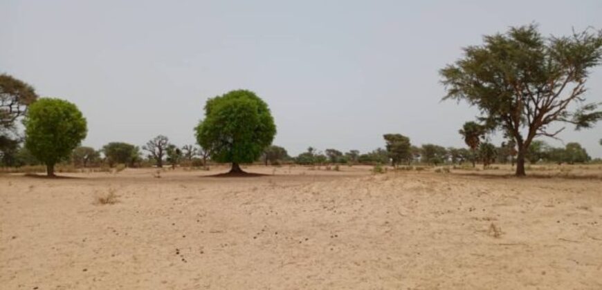 Terrain agricole de 1,58 ha à vendre à Tassette – Sénégal