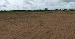 Terrain agricole 10.000 m² à vendre – Tassette