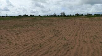 Terrain agricole 10.000 m² à vendre – Tassette