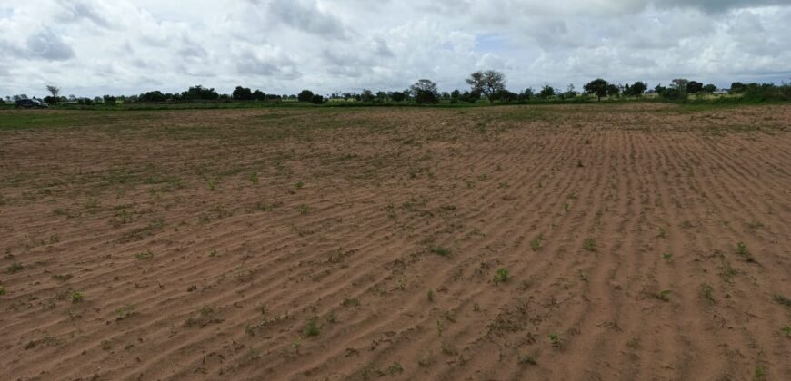 Terrain agricole 10.000 m² à vendre – Tassette