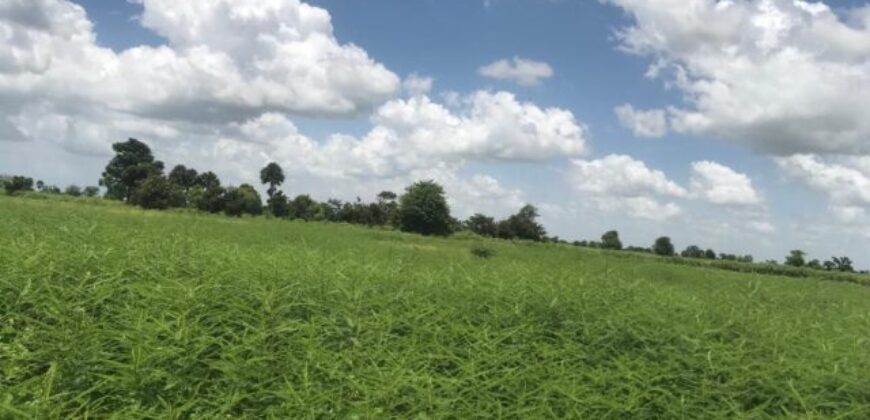 Terrain agricole 10.156 m² à vendre – Nguéniène