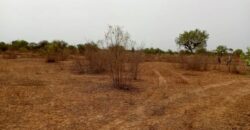 Terrain agricole 10.195 m² à vendre – Thiénaba