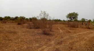 Terrain agricole 10.195 m² à vendre – Thiénaba