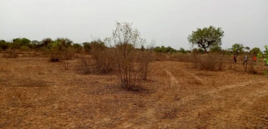 Terrain agricole 10.195 m² à vendre – Thiénaba