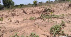 Terrain agricole 10.200 m² à vendre – Diémbéring