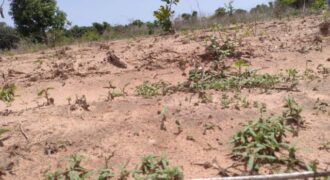Terrain agricole 10.200 m² à vendre – Diémbéring