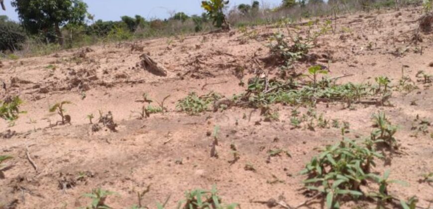 Terrain agricole 10.200 m² à vendre – Diémbéring
