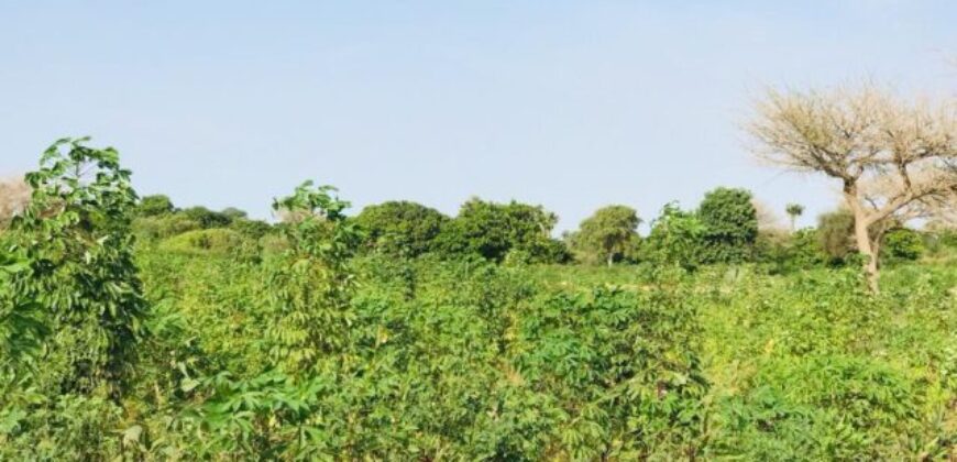 Terrain agricole 10.262 m² à vendre – Pire