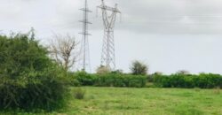 Terrain agricole 10.283 m² à vendre – Notto Gouye Diama
