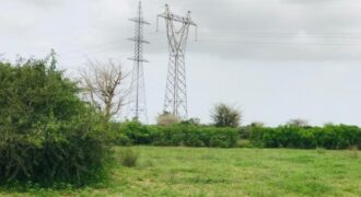 Terrain agricole 10.283 m² à vendre – Notto Gouye Diama