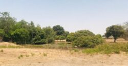 Terrain agricole 10.425 m² à vendre – Diossong
