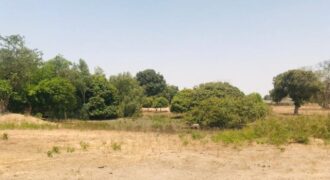 Terrain agricole 10.425 m² à vendre – Diossong